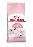 Royal Canin kattenvoer Mother & Babycat 4 kg