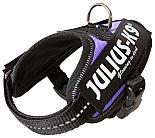 Julius K9 IDC Powerharness purple