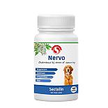 Sectolin Nervo 100 Tabletten