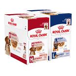 Royal Canin Hond Natvoer