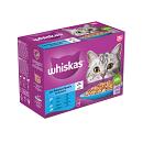 Whiskas Kattenvoer Senior Vis Selectie in Gelei 12 x 85 gr