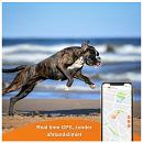 Weenect XS GPS Tracker Dogs White