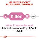 Royal Canin kattenvoer Kitten 10 kg