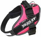 Julius K9 IDC Powerharness dark pink