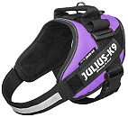 Julius K9 IDC Powerharness purple