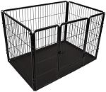 Flamingo kennel Kazan black