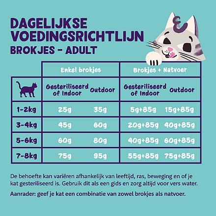 Edgard & Cooper kattenvoer Adult Zalm <br>4 kg