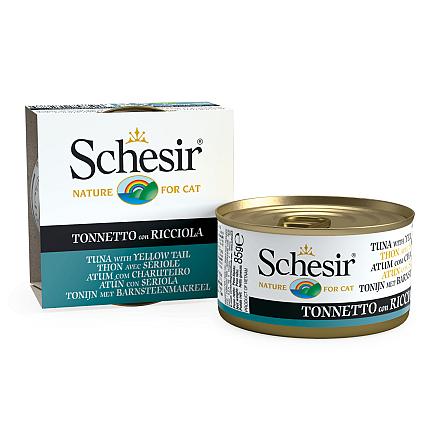 Schesir Kattenvoer Tonijn/Barnsteenmakreel Gelei 85 gr