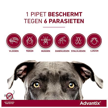 Advantix 40 6 pipetten