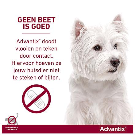 Advantix 100 6 pipetten