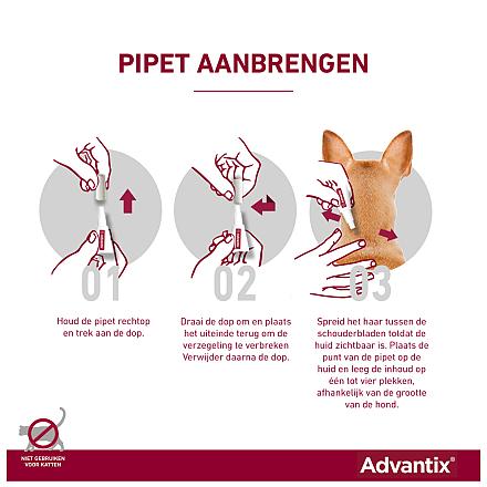 Advantix 250 4 pipetten