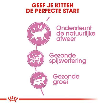 Royal Canin kattenvoer Kitten 10 kg