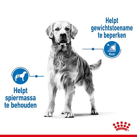 Royal Canin hondenvoer Light Weight Care Maxi 3 kg