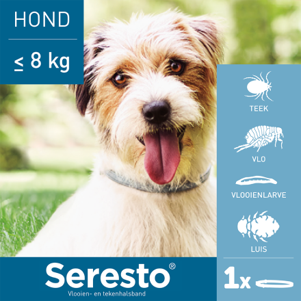 Seresto band voor kleine honden