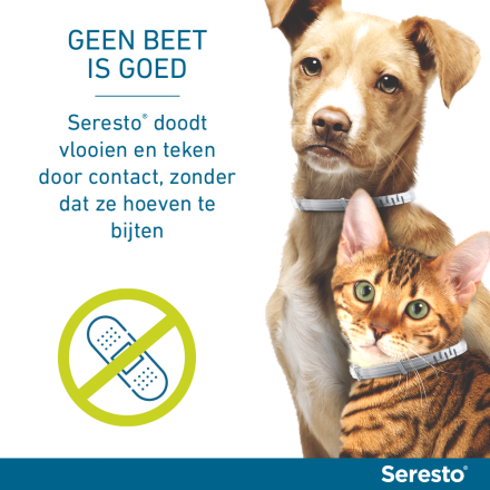 Seresto band voor kleine honden