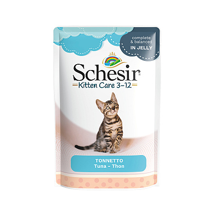 Schesir Kattenvoer Kitten 3-12 Tonijn Gelei 85 gr