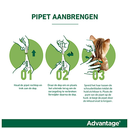 Advantage kat 80 <br>4 pipetten