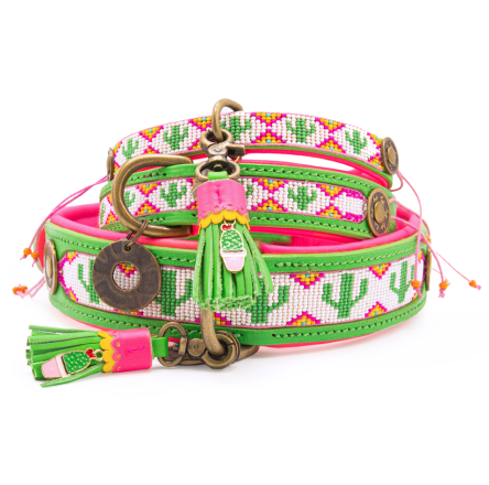 Dog with a Mission halsband Tropical Summer