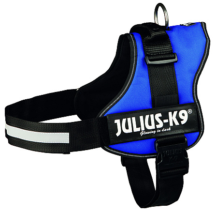 Julius K9 Powerharness blue