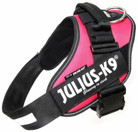 Julius K9 IDC Powerharness dark pink