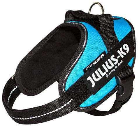 Julius K9 IDC Powerharness aquamarine