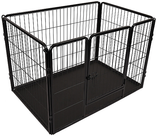 Flamingo kennel Kazan black