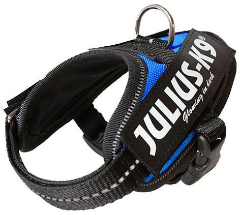 Julius K9 IDC Powerharness blue